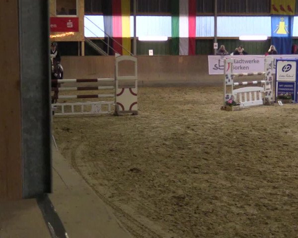 3. Hallenspringturnier Velen 2017