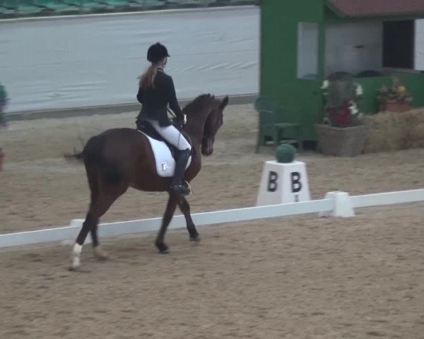 Hallen-Dressurturnier Kreuth 2017