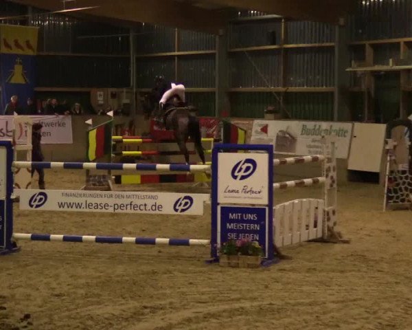 3. Hallenspringturnier Velen 2017