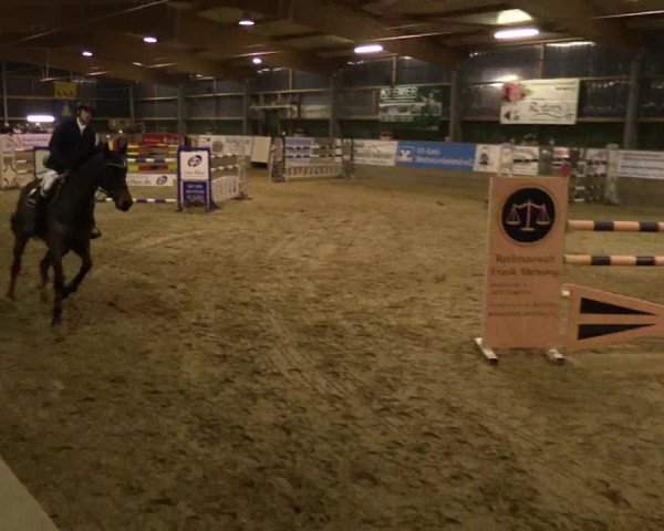 3. Hallenspringturnier Velen 2017