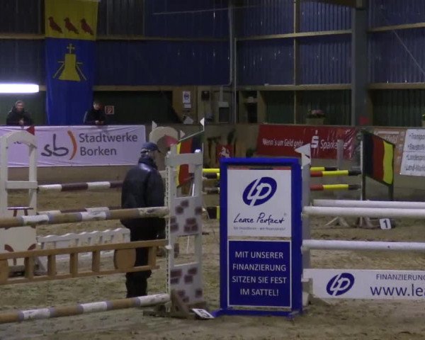 3. Hallenspringturnier Velen 2017