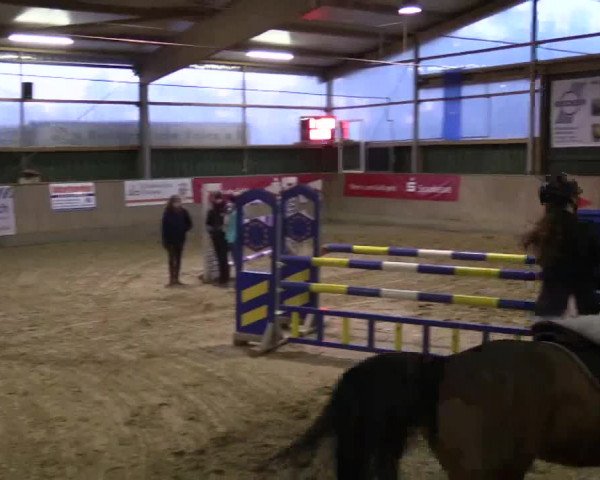 3. Hallenspringturnier Velen 2017