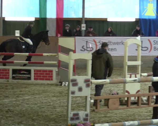 3. Hallenspringturnier Velen 2017