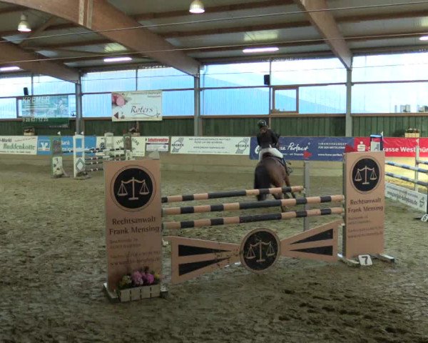 3. Hallenspringturnier Velen 2017