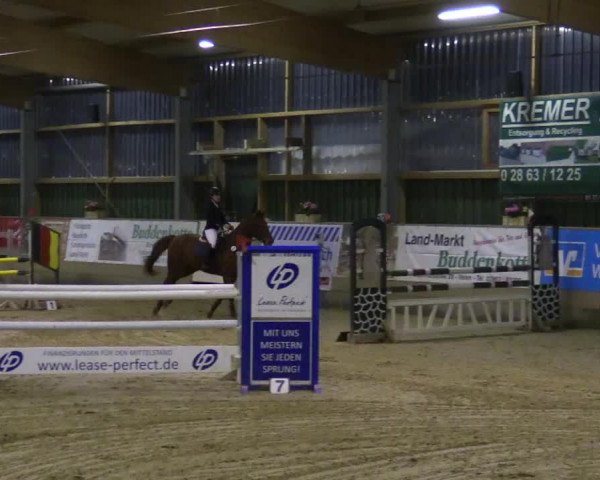 3. Hallenspringturnier Velen 2017