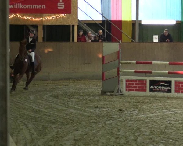 3. Hallenspringturnier Velen 2017