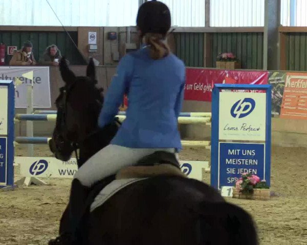 3. Hallenspringturnier Velen 2017