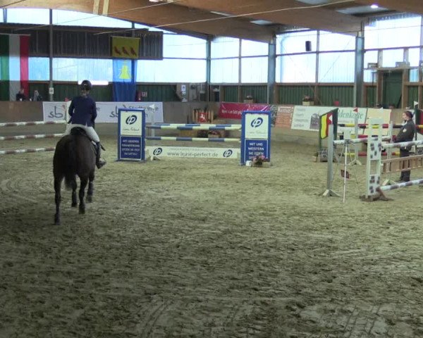 3. Hallenspringturnier Velen 2017