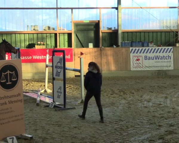 3. Hallenspringturnier Velen 2017