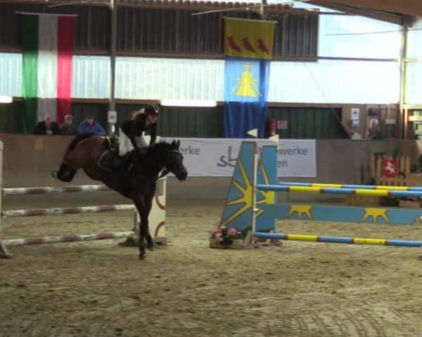 3. Hallenspringturnier Velen 2017