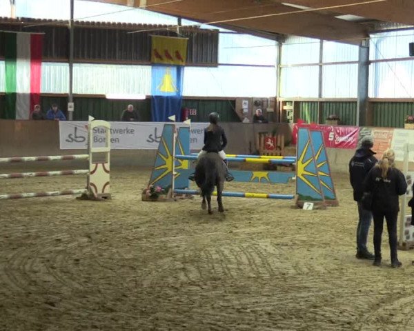 3. Hallenspringturnier Velen 2017