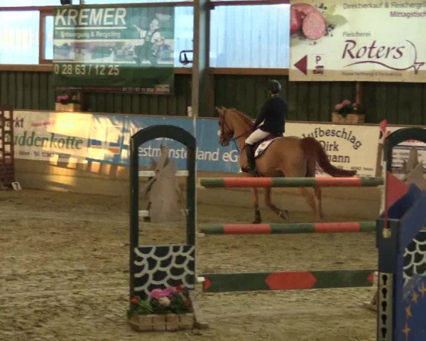 3. Hallenspringturnier Velen 2017