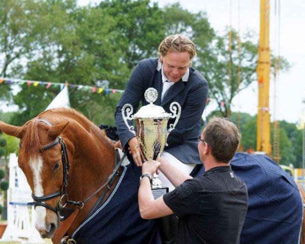 jumper Goldfeyer (Hanoverian, 2006, from Graf Top)