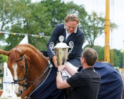 jumper Goldfeyer (Hanoverian, 2006, from Graf Top)