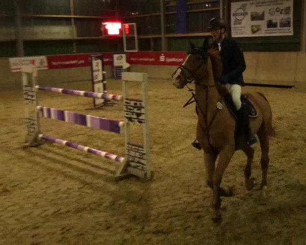 3. Hallenspringturnier Velen 2017