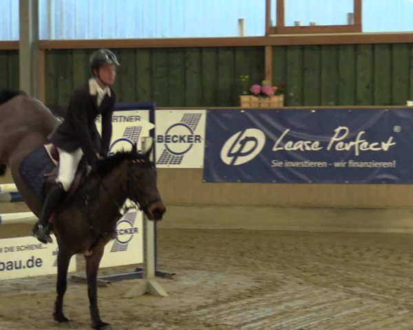3. Hallenspringturnier Velen 2017