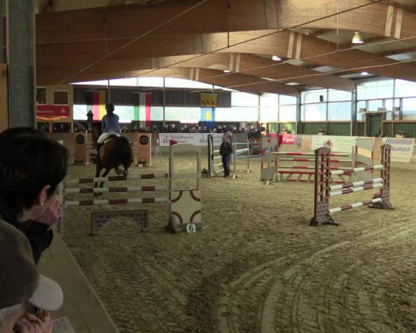 3. Hallenspringturnier Velen 2017