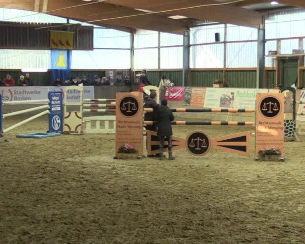 3. Hallenspringturnier Velen 2017