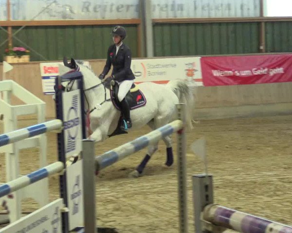 3. Hallenspringturnier Velen 2017