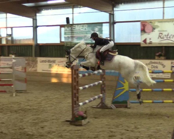 3. Hallenspringturnier Velen 2017