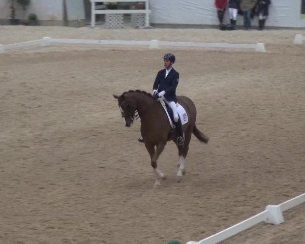 Hallen-Dressurturnier Kreuth 2017