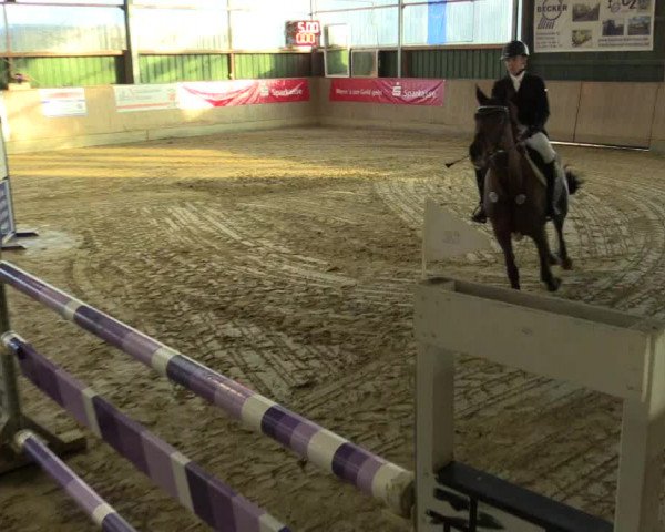 3. Hallenspringturnier Velen 2017