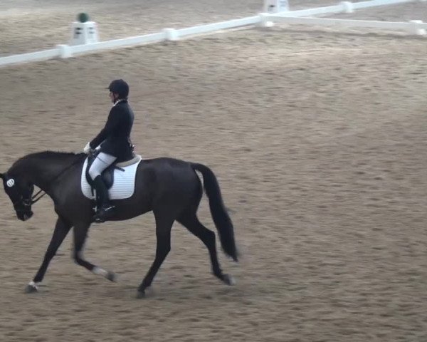Hallen-Dressurturnier Kreuth 2017