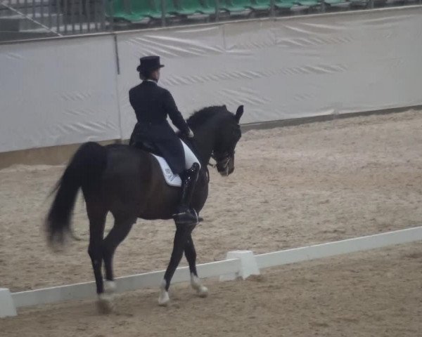 Hallen-Dressurturnier Kreuth 2017