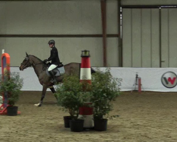 Reitturnier Barlo-Bocholt 2017