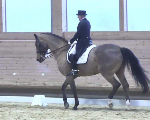 1. Hallen Dressurturnier des Riders Club Luxembourg 2017