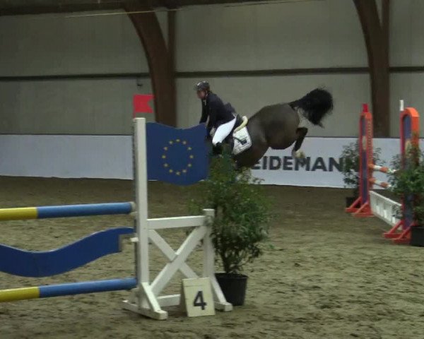 Reitturnier Barlo-Bocholt 2017