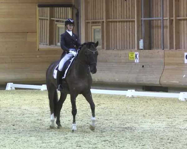 1. Hallen Dressurturnier des Riders Club Luxembourg 2017