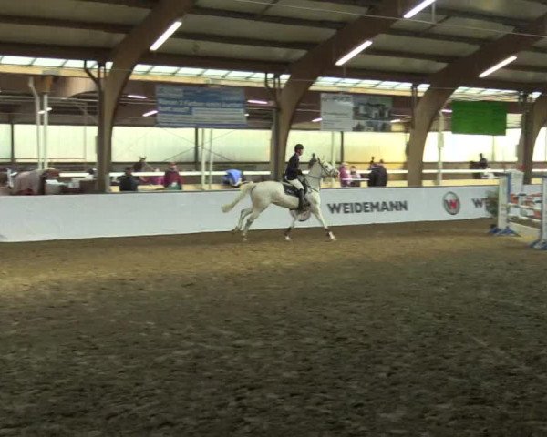 Reitturnier Barlo-Bocholt 2017