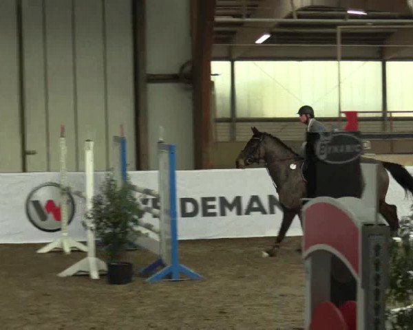 Reitturnier Barlo-Bocholt 2017