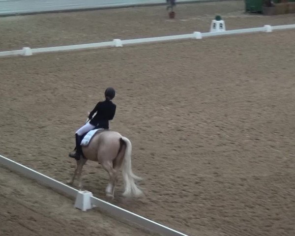 Hallen-Dressurturnier Kreuth 2017