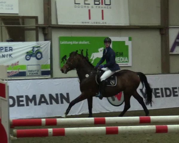 Torneo Equestre Barlo-Bocholt 2017