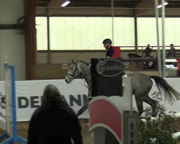 Reitturnier Barlo-Bocholt 2017
