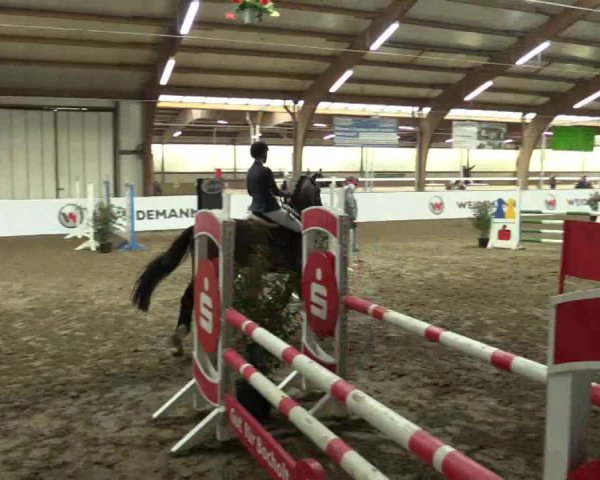 Reitturnier Barlo-Bocholt 2017