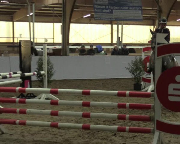 Reitturnier Barlo-Bocholt 2017