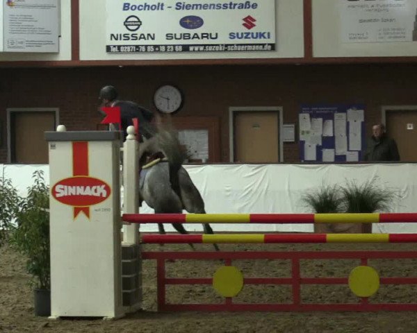 Reitturnier Barlo-Bocholt 2017