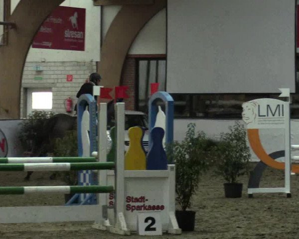 Reitturnier Barlo-Bocholt 2017