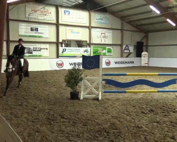 Reitturnier Barlo-Bocholt 2017