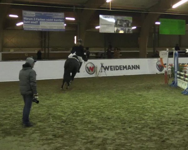 Reitturnier Barlo-Bocholt 2017