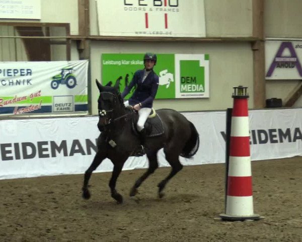 Reitturnier Barlo-Bocholt 2017
