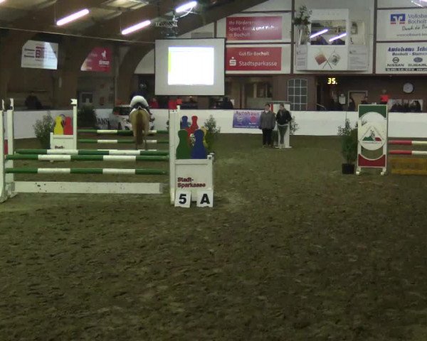 Reitturnier Barlo-Bocholt 2017