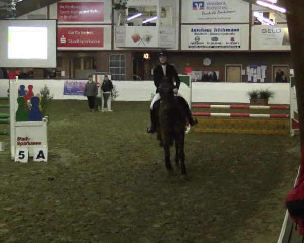 Reitturnier Barlo-Bocholt 2017