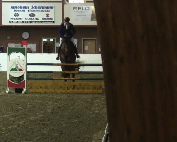 Reitturnier Barlo-Bocholt 2017
