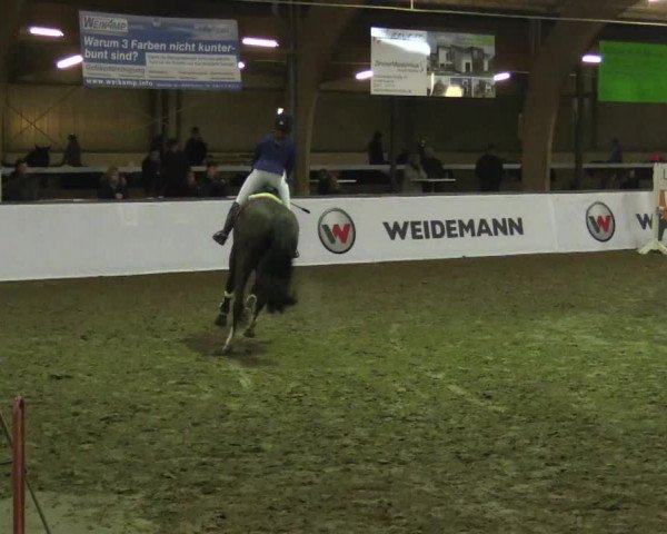 Reitturnier Barlo-Bocholt 2017