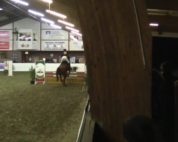 Reitturnier Barlo-Bocholt 2017