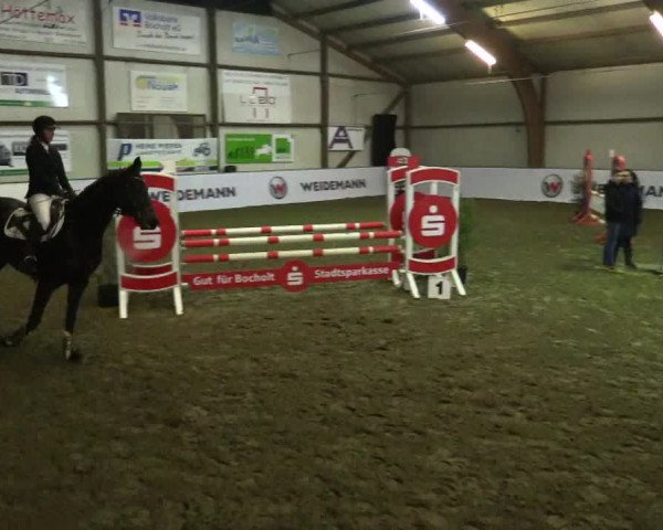 Reitturnier Barlo-Bocholt 2017
